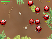 Click to Play Spider Bugs