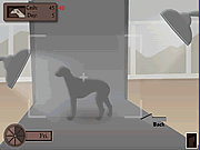 Click to Play Greyhound Tycoon