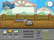 Click to Play Horse Rancher