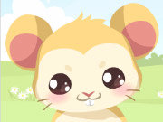 Click to Play Hamster Care