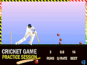 Click to Play Cricket Game