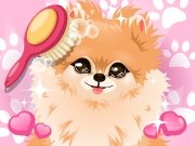 Click to Play Puppy Groomer