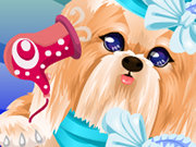 Click to Play Puppy Makeover